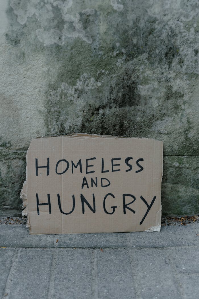 Cardboard sign with message 'Homeless and Hungry' against a concrete wall.